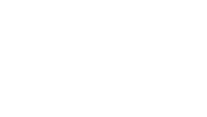 Tribeca Film Festival laurels